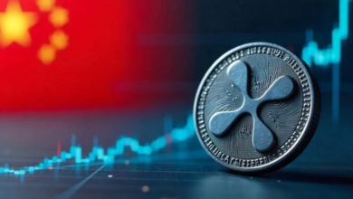 Top 5 XRP Price Calculators You Should Know About