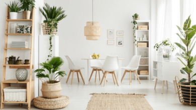 A Lasting Solution for Healthier Living Spaces