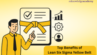 Lean Six Sigma Yellow Belt