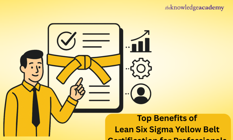 Lean Six Sigma Yellow Belt