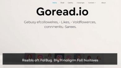 Ranking the Quality: Websites to Buy Instagram Followers