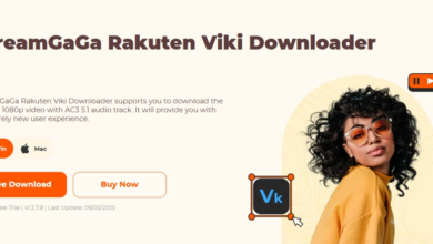 How to Download Rakuten Viki Videos (The Simple, Up-to-date Guide)