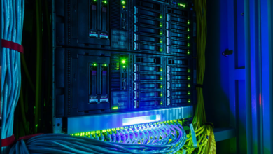 The Power of Bare Metal: Why Dedicated Servers Are the Backbone of High-Performance Hosting